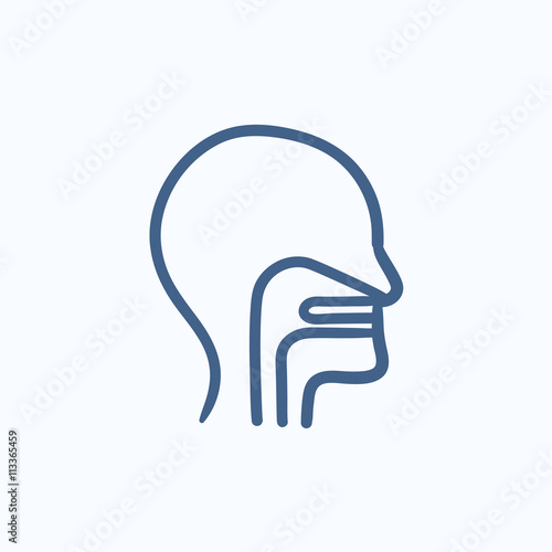 Human head with ear, nose, throat sketch icon.