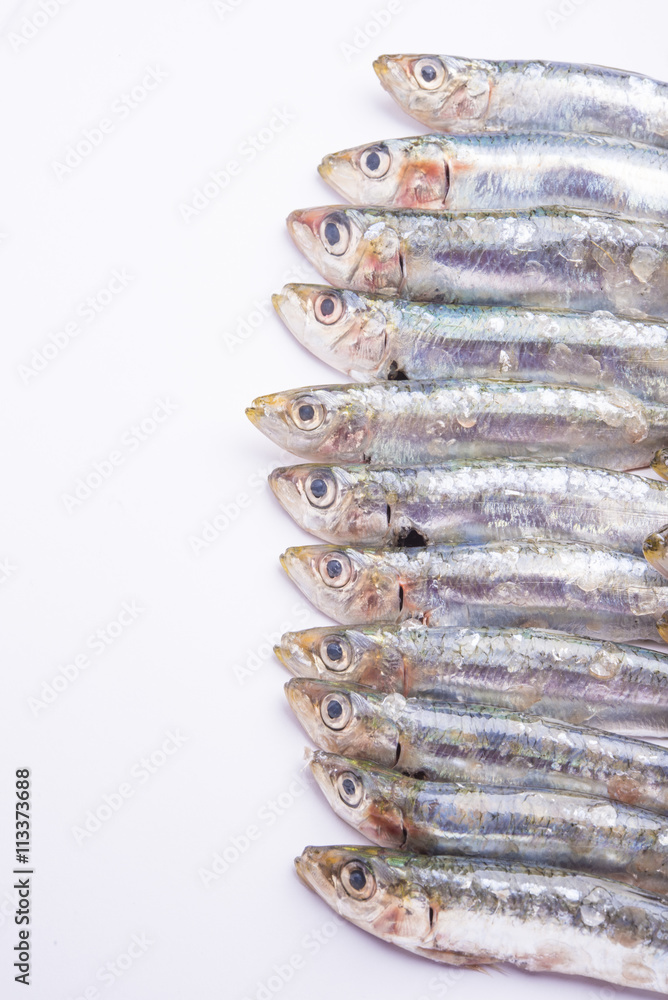 Fresh raw sardines isolated on white background Fresh raw sardines isolated on white background