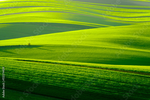 Green wavy hills in South Moravia © Anton Gvozdikov