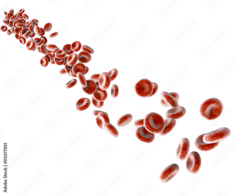 Globuli rossi, eritrocita cellula, flusso di globuli rossi Illustration  Stock | Adobe Stock
