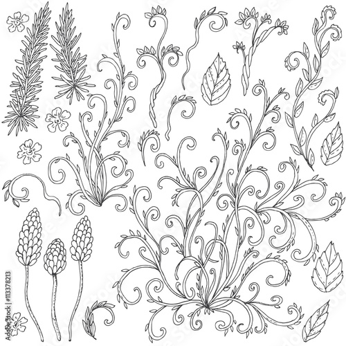 Set of floral doodles