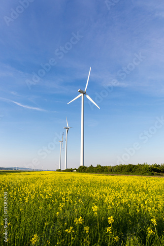 Beautiful fields surrounding windmills on the field during summer day with blue sky © michalpalka