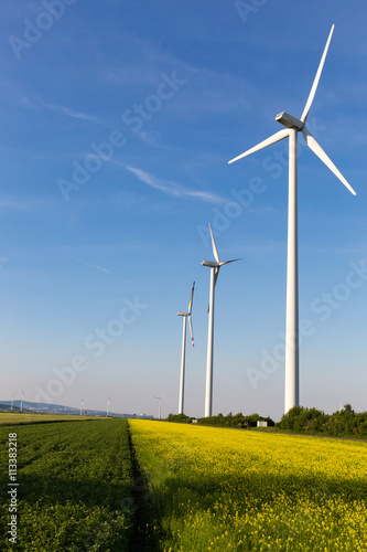 Beautiful fields surrounding windmills on the field during summer day with blue sky