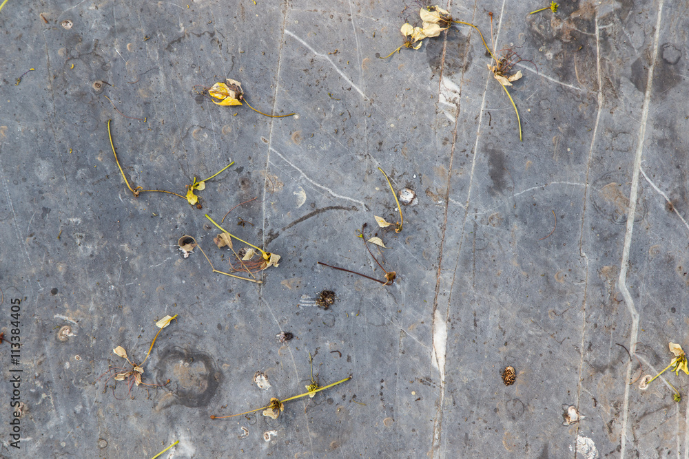 Obraz premium stone marble background