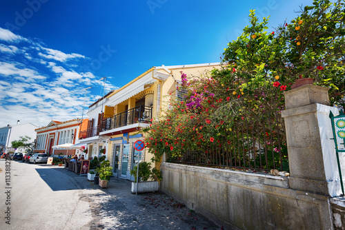 Fototapeta Naklejka Na Ścianę i Meble -  Along the narrow streets of Paxos island, Ionian Sea, Greece