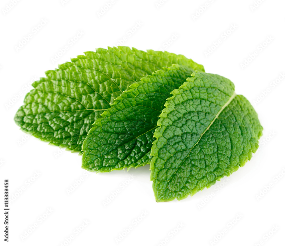 Fresh raw mint leaves isolated on white background Fresh raw mint leaves isolated on white background