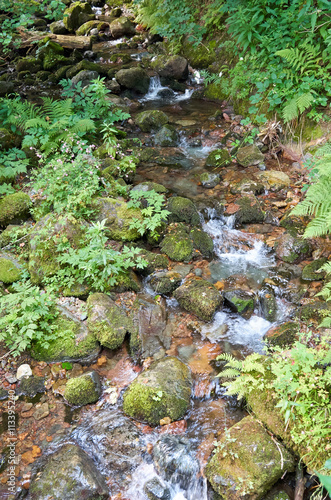 Beautiful mountain river running down a rocky bed in a forest of green. Summer view with clean water Mountain river flowing through the green forest. Stream in the forest