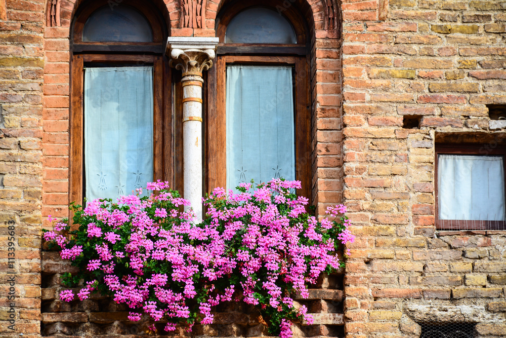 Windows decorated with a pot of pink flower in the historic cent