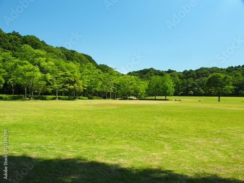 初夏の草原と林風景 © smtd3