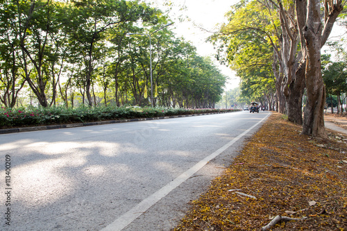 Summer park road
