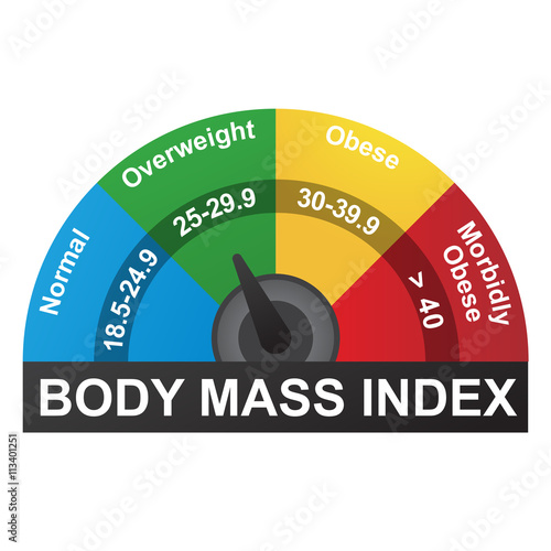 BMI or Body Mass Index Infographic Chart photo