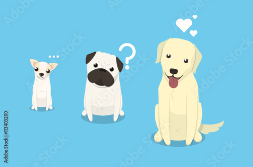 lovely dogs sit