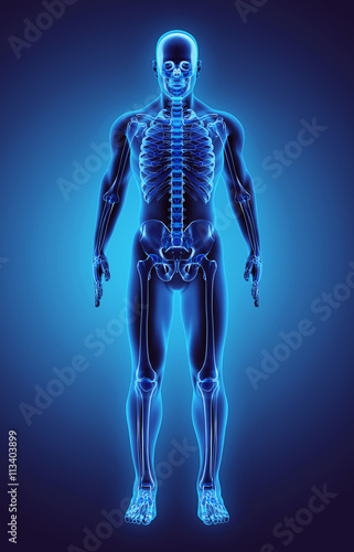 3D illustration Part of Human Skeleton, medical concept. © yodiyim