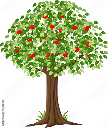 Green Apple tree full of red apples isolated

