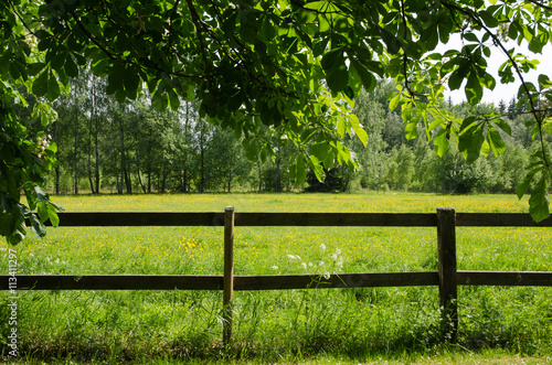 Green field behind a fence