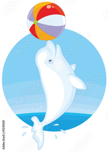 beluga whale playing with a big colorful ball