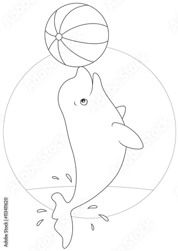 beluga whale playing with a ball