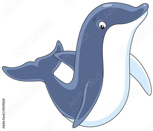 Dolphin friendly smiling