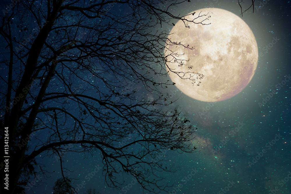 Milky Way star in night skies, full moon and old tree - Retro style artwork with vintage color tone (Elements of this moon image furnished by NASA) - obrazy, fototapety, plakaty 