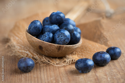 Blaubeeren - Erntezeit
