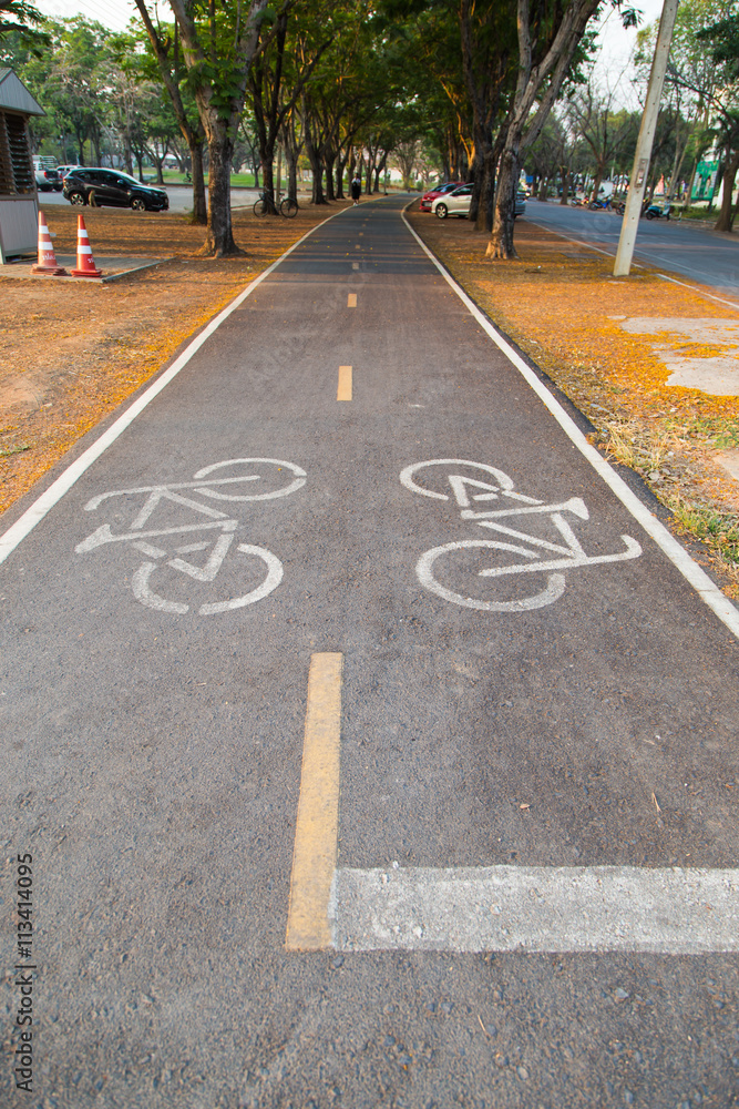 Obraz premium bicycle path in parks