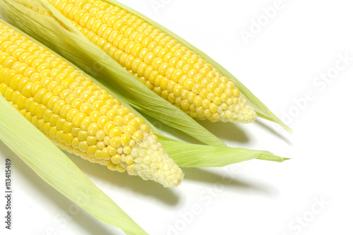 Japanese fresh corn in white #2