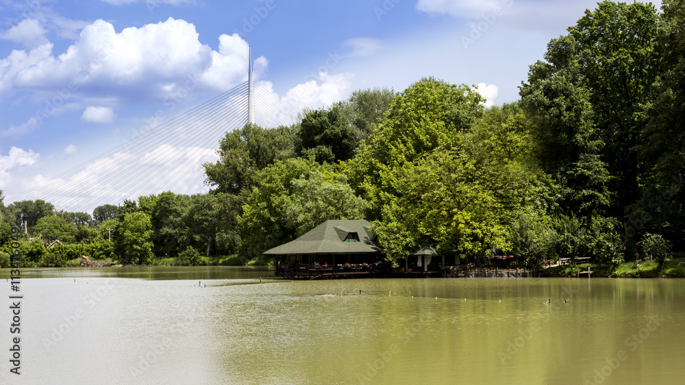 Landscape of trees, pond and clouds Landscape of trees, pond and clouds
