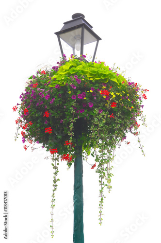 Freigestellte Blumenampel in leuchtenden Farben auf Pfosten mit Straßenlaterne

Cropped Hanging Basket in bright colors on pole with street lamp