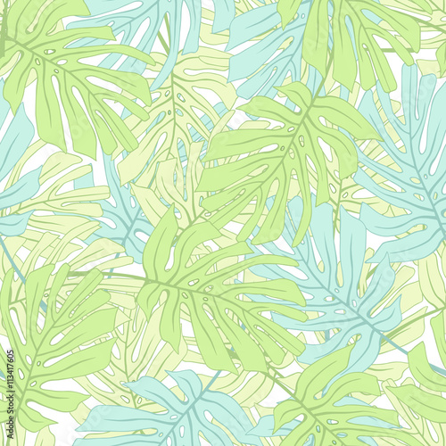 Tropical palm leaves.