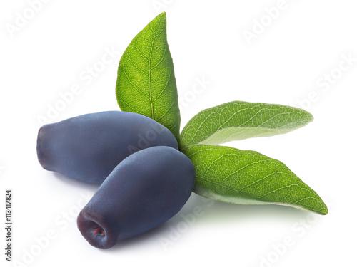 Blue Honeysuckle berries (Lonicera caerulia)