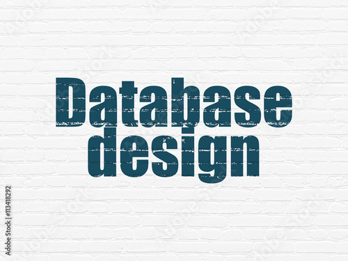 Software concept: Database Design on wall background © Maksim Kabakou