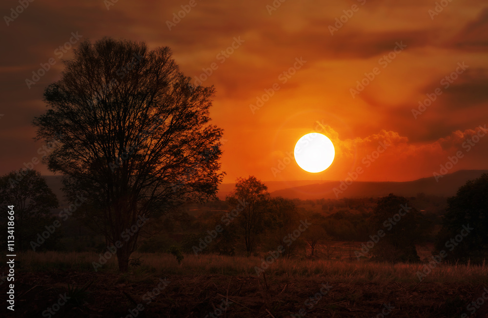 Dreamy sunset or twilight at mountain and tree view, landscape and nature view of sunset in countryside