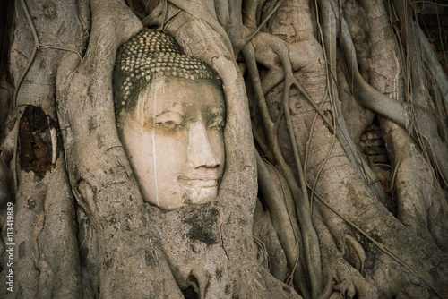 Photography Thailand