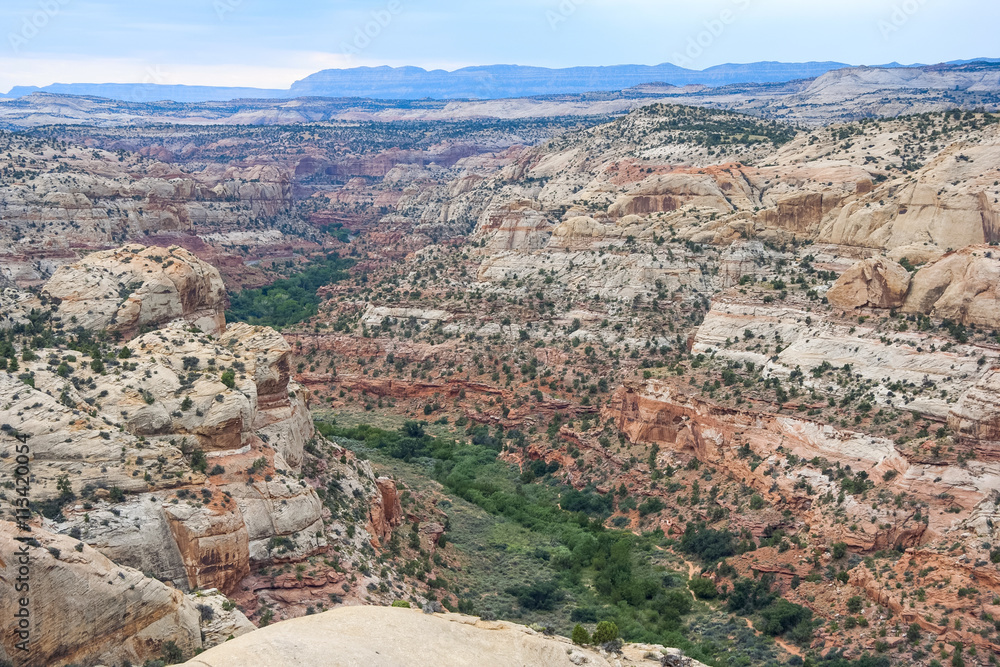 Valley at Grand Staircase in Escalante National Monument, Utah,  USA
