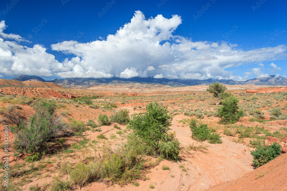 Desert view of central  Utah