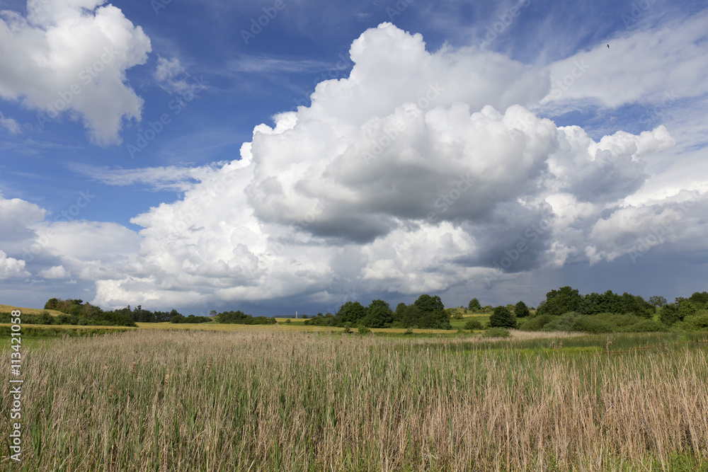 Obraz premium Pasture in the storm summer country Landscape