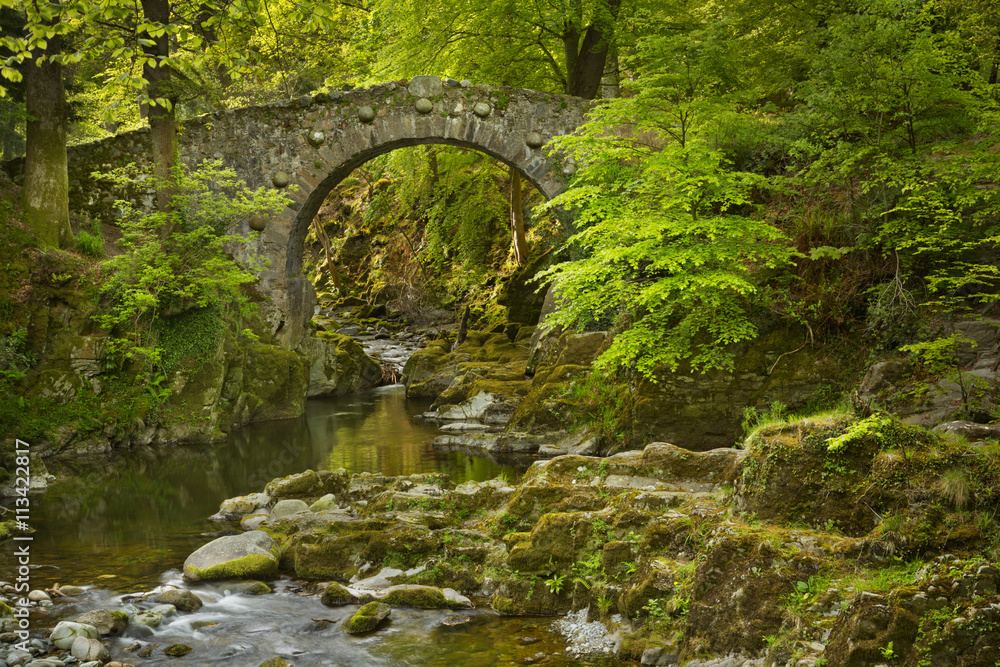 Stone bridge over a river in Northern Ireland Stone bridge over a river in Northern Ireland