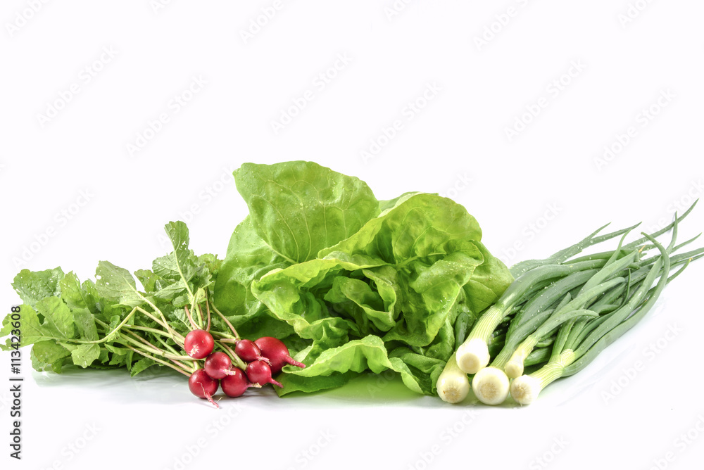 Fresh vegetables from a home garden Fresh vegetables from a home garden