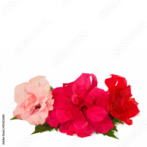 border of colorful hibiscus flowers