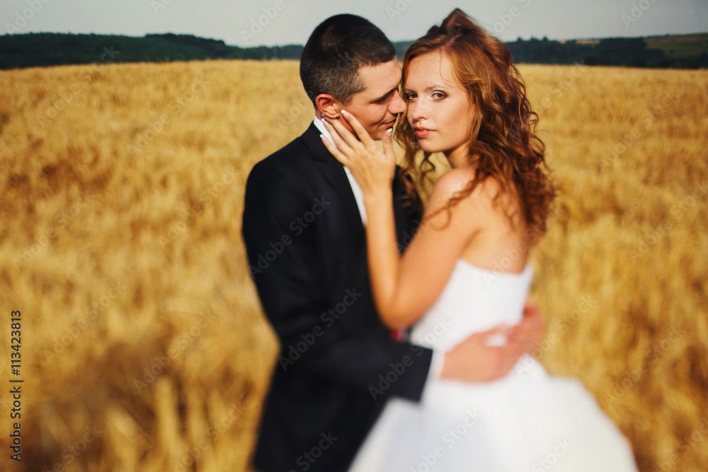 Bride holds groom's face tenderly while he hugs her on the field Bride holds groom's face tenderly while he hugs her on the field