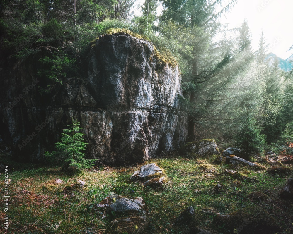 Obraz na plátně Forest near Cierny Kamen Mountain in Velka Fatra National Park, Slovakia