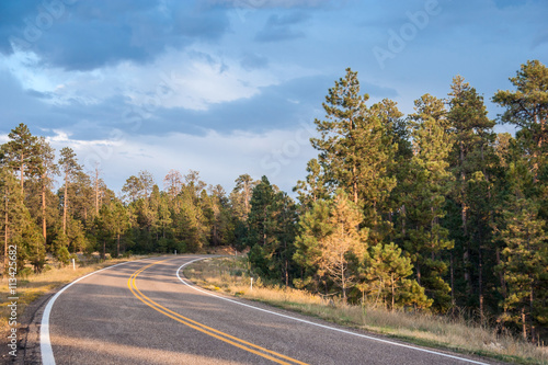 Highway in the forest of central Wyoming