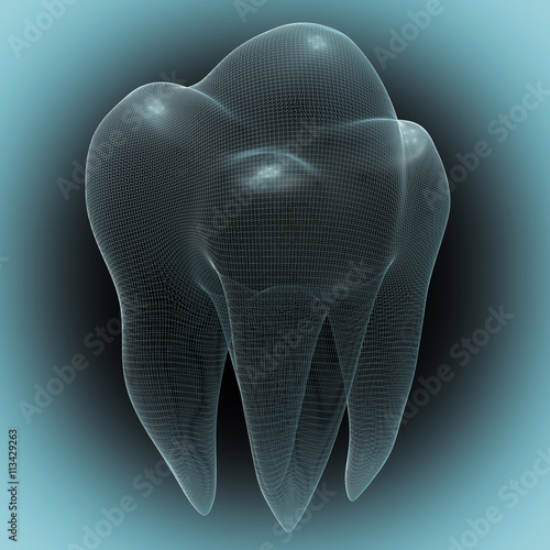 image of the human tooth