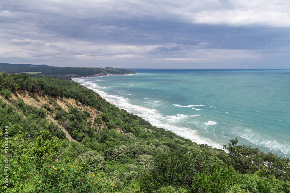 View from high to the beautiful beach and forest View from high to the beautiful beach and forest