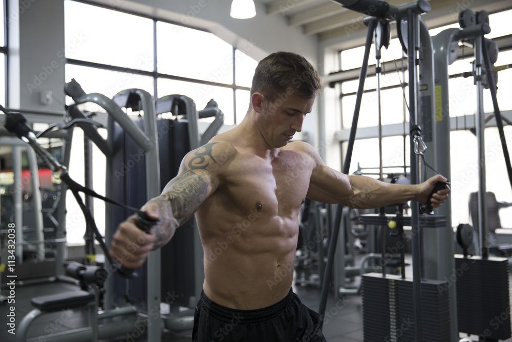 Young Man Using Fitness Equipment In Gym Young Man Using Fitness Equipment In Gym
