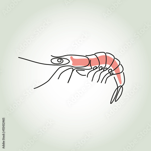 Shrimp in minimal line style vector