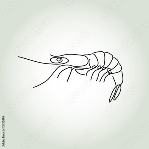 Shrimp in minimal line style vector