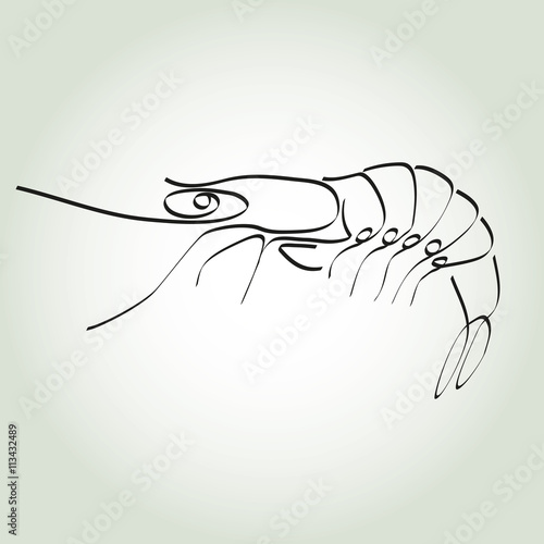 Shrimp in minimal line style vector