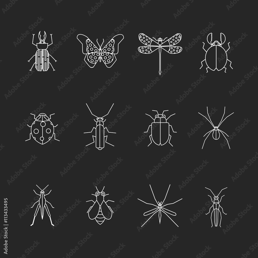 Insects thin line art icons set. Insects thin line art icons set.