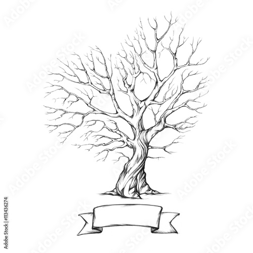 Baum mit herzförmiger Krone
